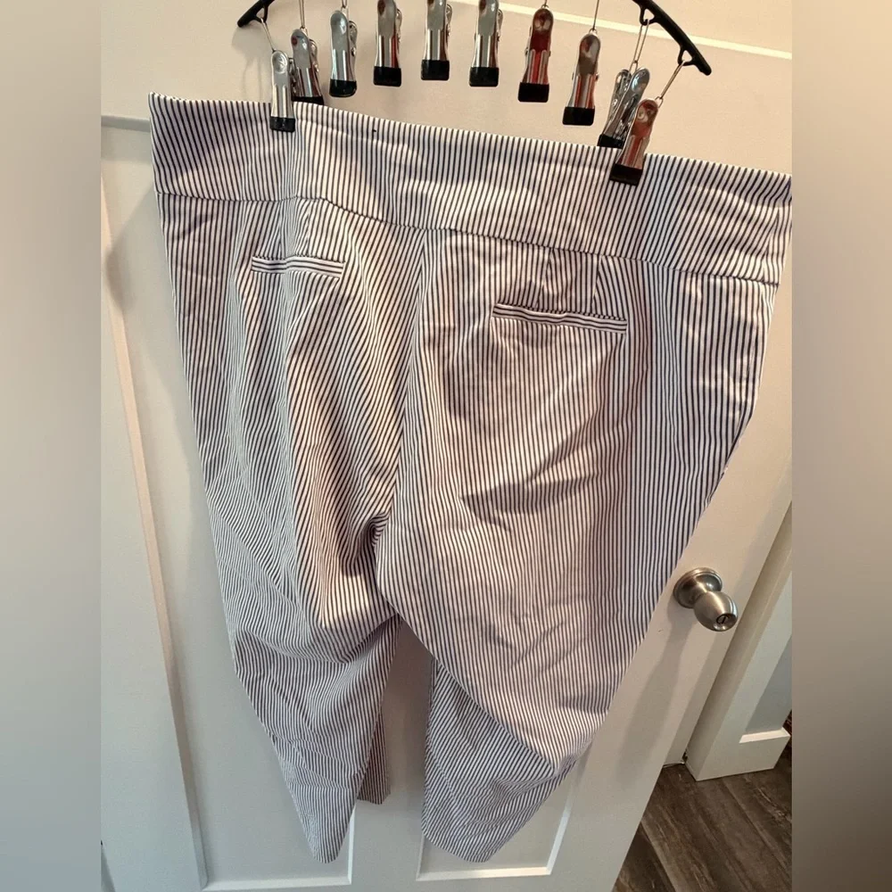 Massini Blue White Striped Pull On Pants Plus Size 3X Ankle Career